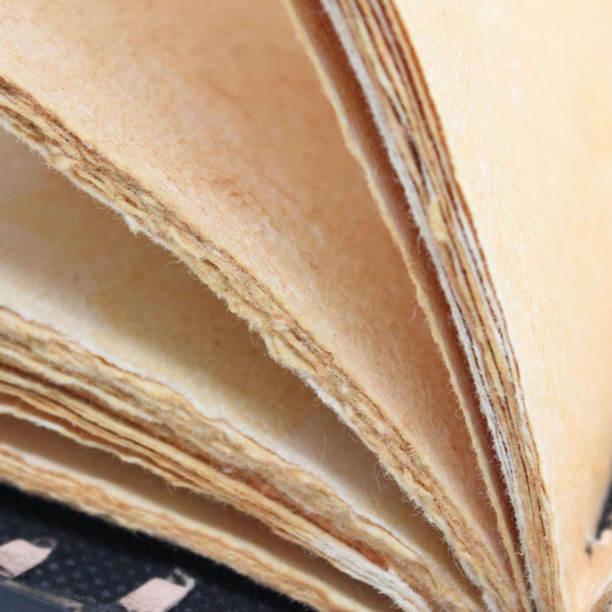 Dragon Crest Leather Journal
