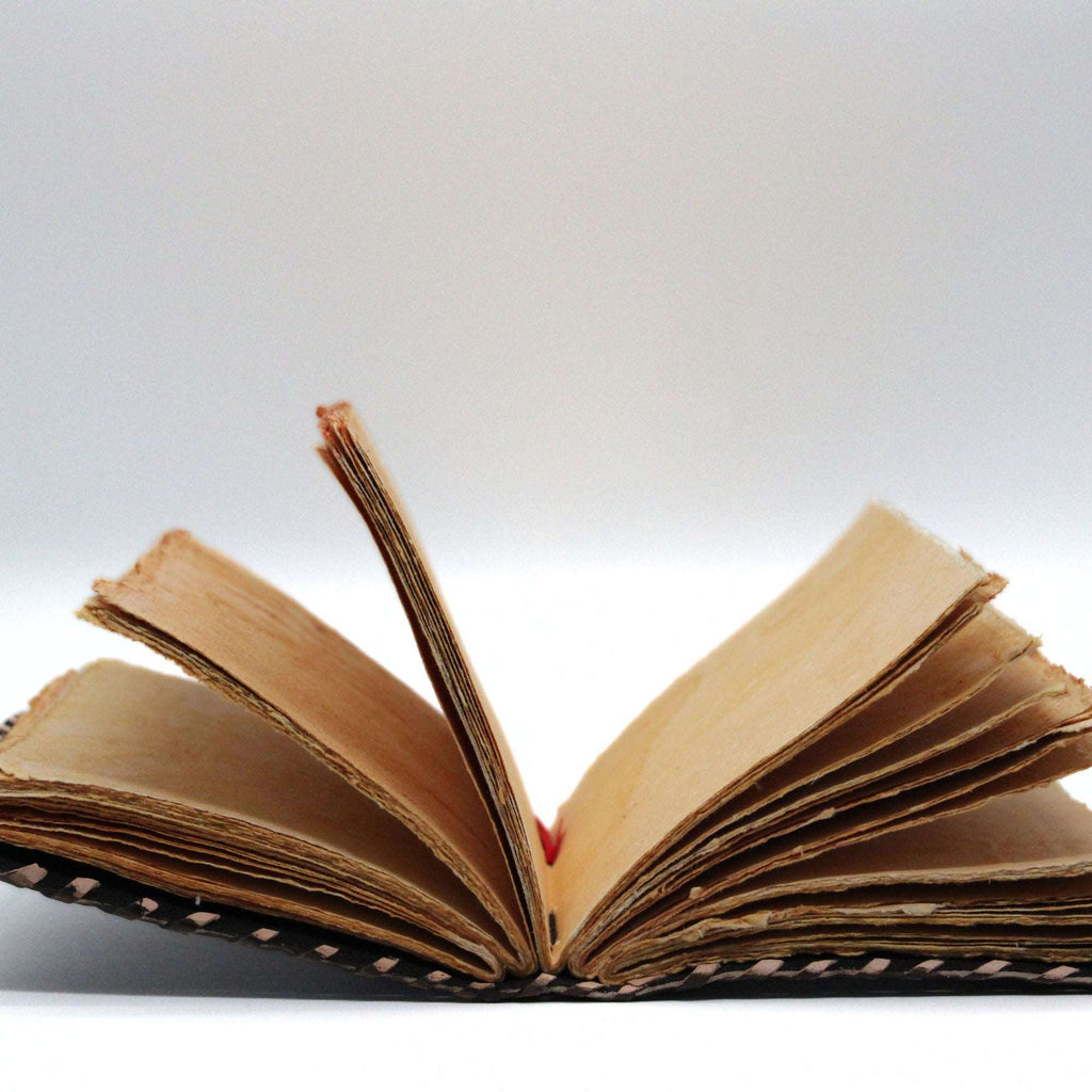 Dragon Crest Leather Journal