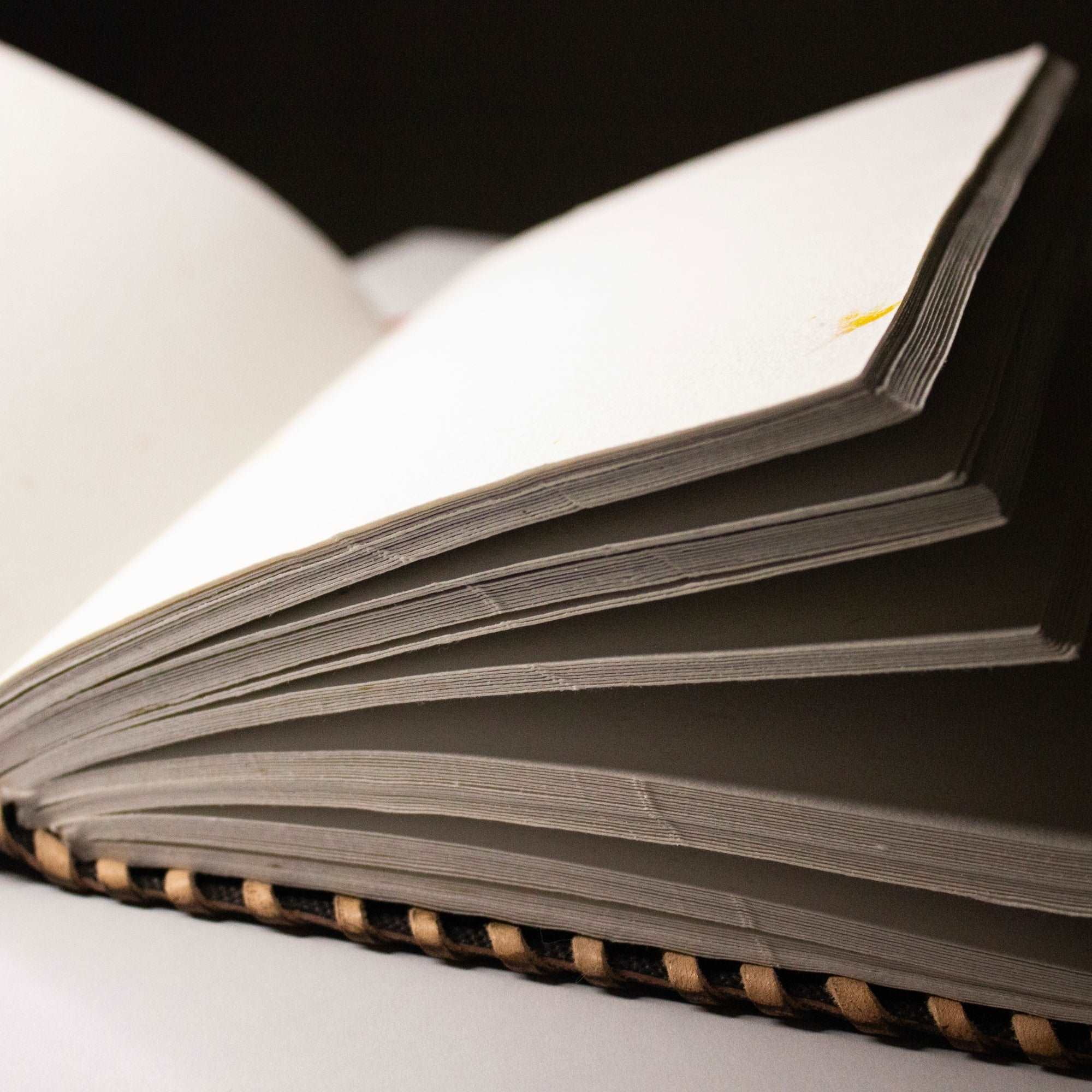 Dragon Crest Leather Notebook